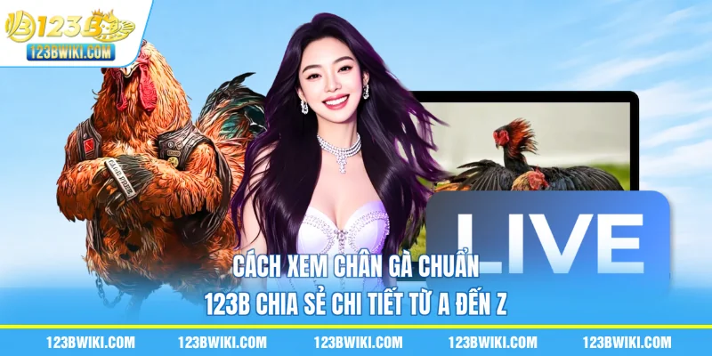 Cách Xem Chân Gà Chuẩn | 123B Chia Sẻ Chi Tiết Từ A Đến Z